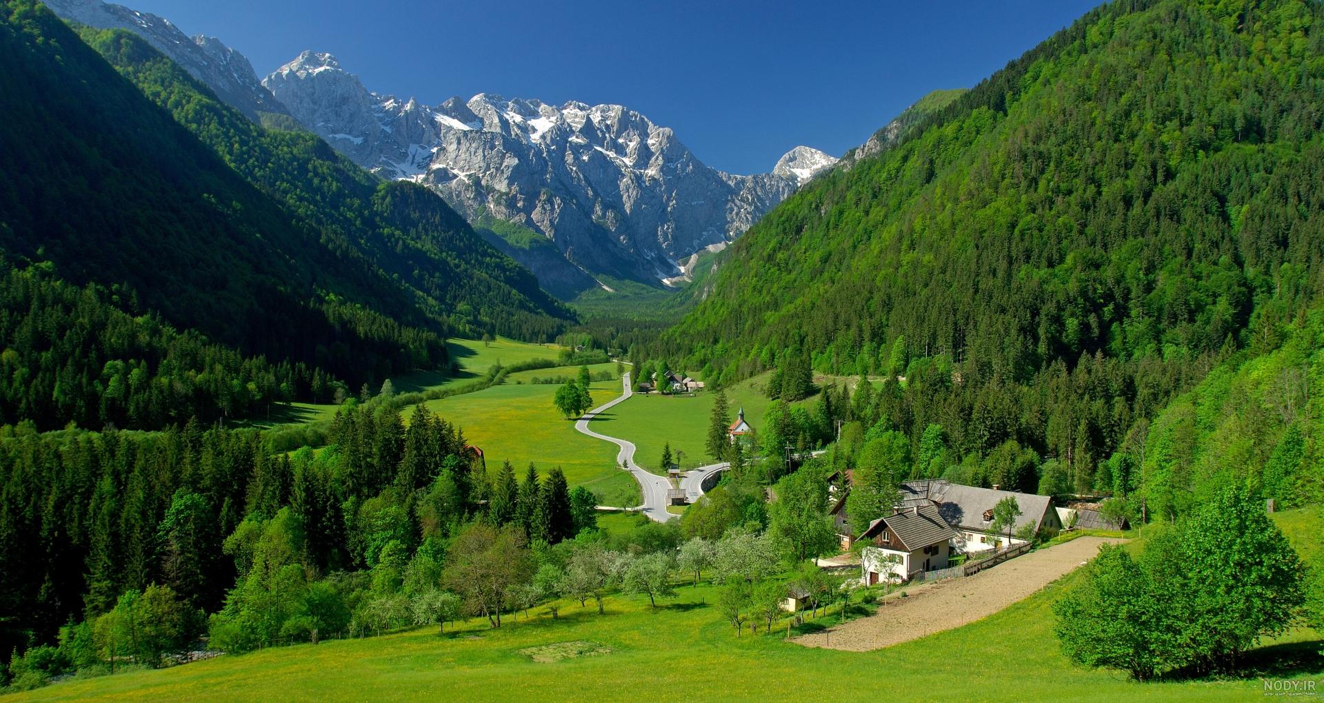 عکس بهاری عکس بهاری
