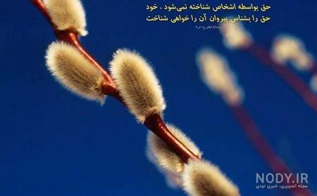 عکس حدیث پیامبر اکرم