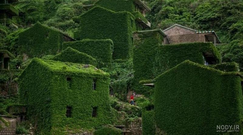 عکس طبیعت بهار چین عکس طبیعت بهار چین