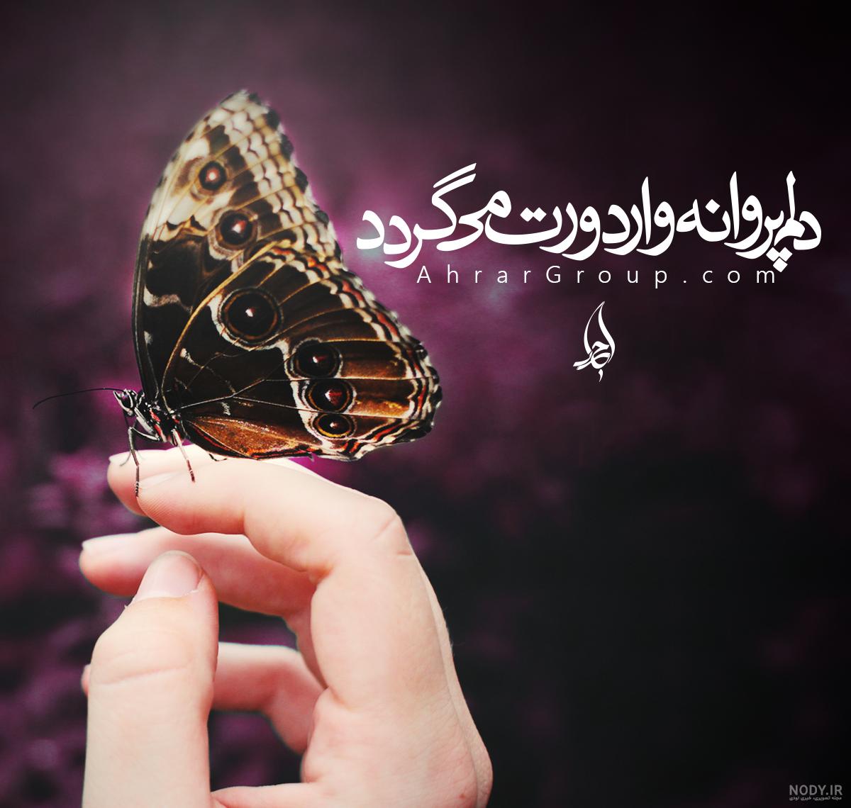 عکس نوشته پروانه وار