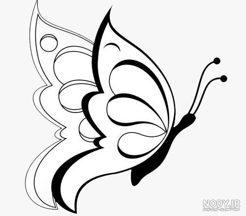 عکس پروانه های نقاشی شده