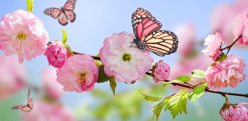 عکس کلبه جنگلی عاشقانه عکس کلبه جنگلی عاشقانه