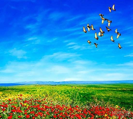 عکس کلبه عشق عکس کلبه عشق