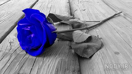 عکس گل نوشته دار غمگین