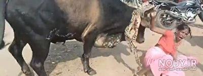 فیلم خنده دار خوب فیلم خنده دار خوب