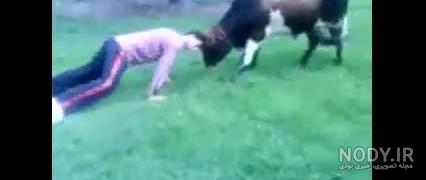 فیلم مسخره خنده دار فیلم مسخره خنده دار
