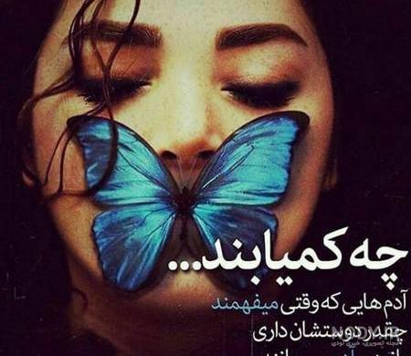 متن کوتاه انگلیسی درباره پروانه متن کوتاه انگلیسی درباره پروانه