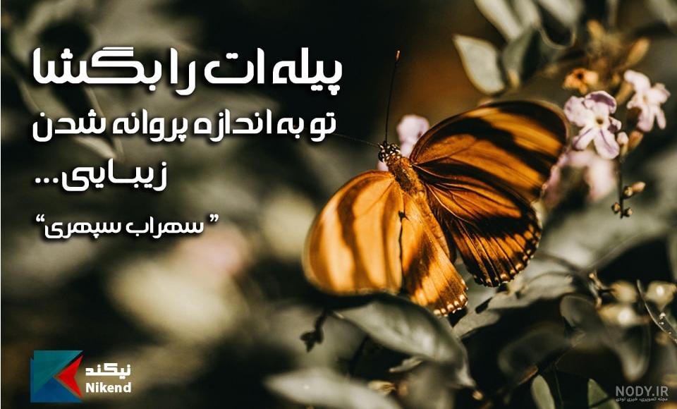 مثل پروانه ها رقصنده و رها باش مثل پروانه ها رقصنده و رها باش