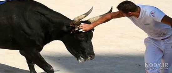 کلیپ خیلی خنده دار کلیپ خیلی خنده دار