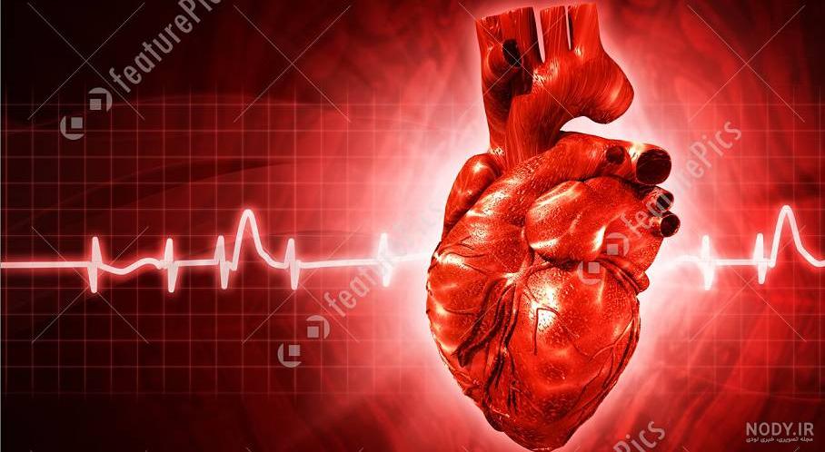 خلاصه قسمت آخر سریال ضربان قلب خلاصه قسمت آخر سریال ضربان قلب