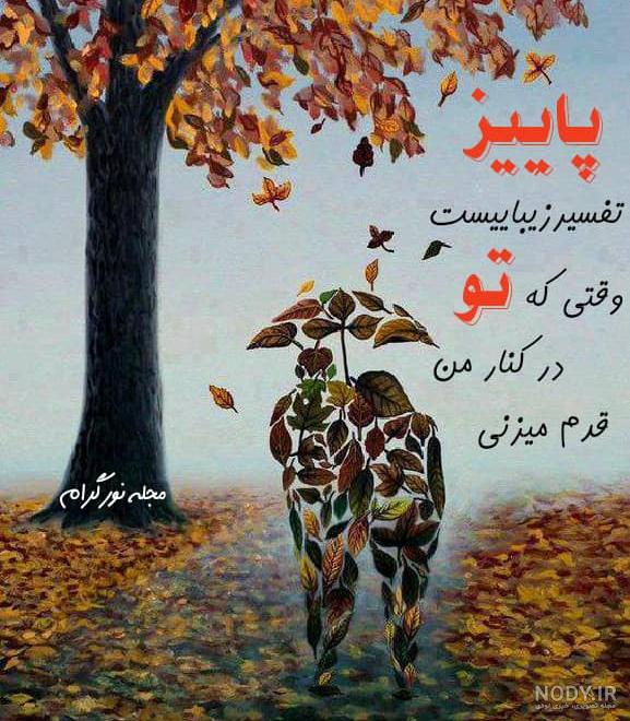زیباترین عکس پاییزی دنیا