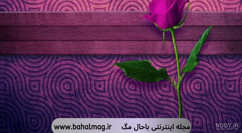 عکس دختر بنفش برای پروفایل