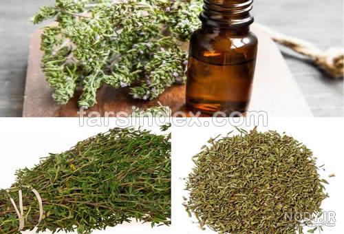 خواص آویشن باریک کوهی خواص آویشن باریک کوهی
