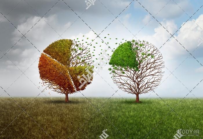 دانلود عکس طبیعت