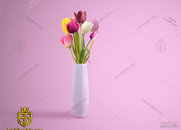 زیباترین گل لاله زیباترین گل لاله
