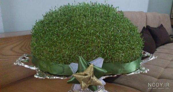 سبزه شاهی با جوراب