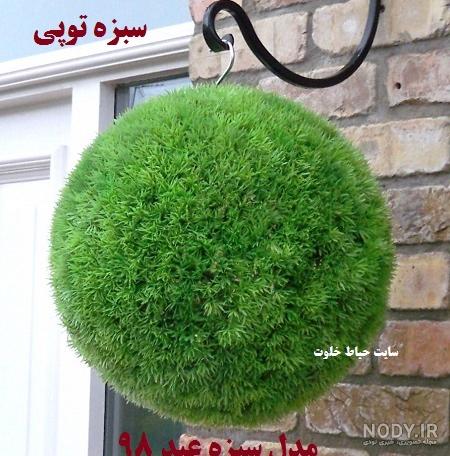سبزه شاهی در بشقاب
