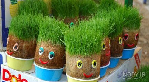 سبزه شاهی روی توپ