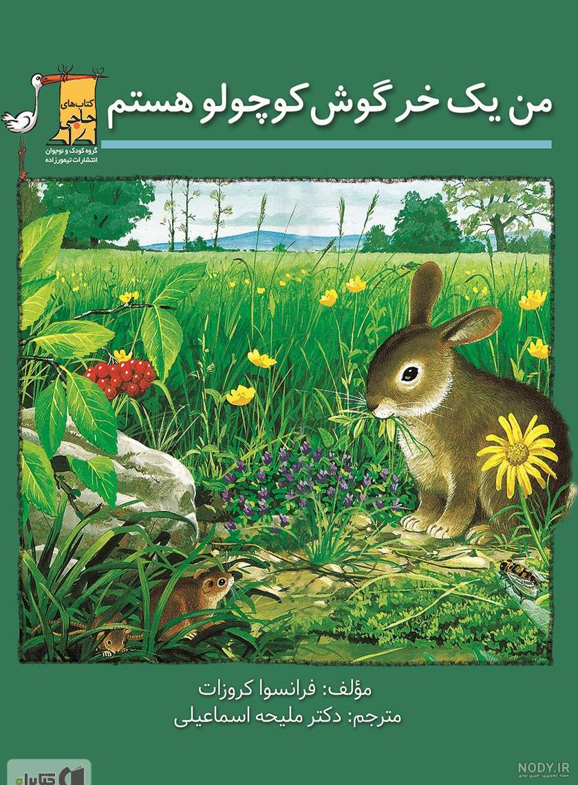 عکس خرگوش کوچولو عروسکی عکس خرگوش کوچولو عروسکی