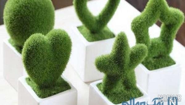 عکس سبزه شاهی