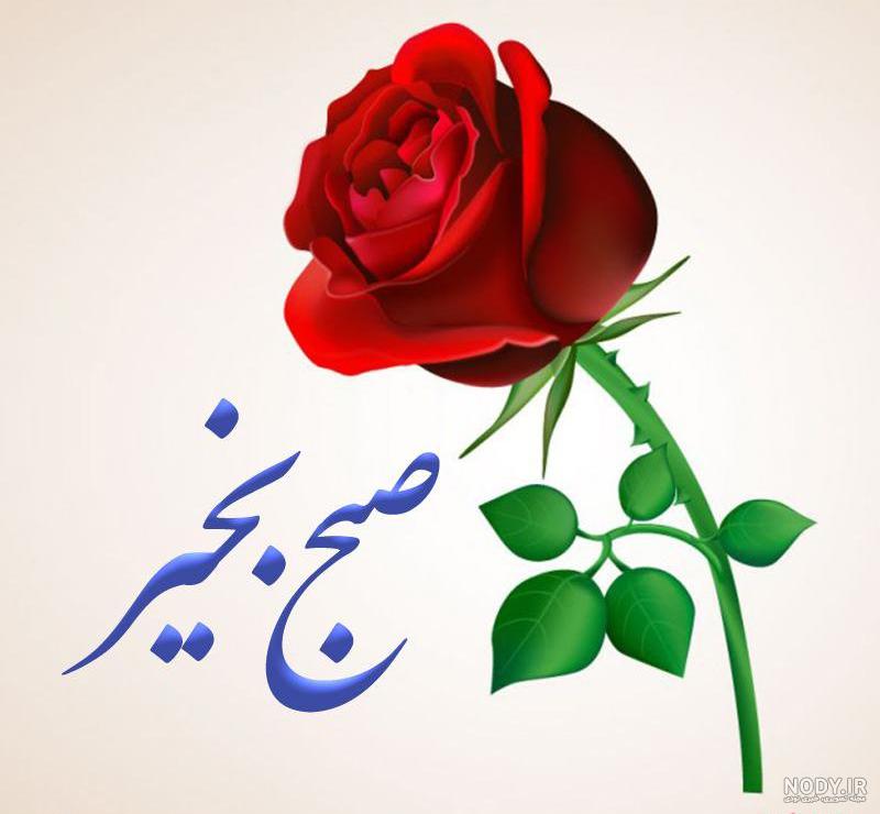 عکس صبح بخیر گروهی عکس صبح بخیر گروهی