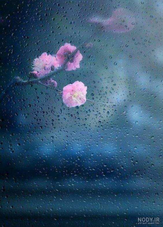 عکس هوای ابری و بارانی عکس هوای ابری و بارانی