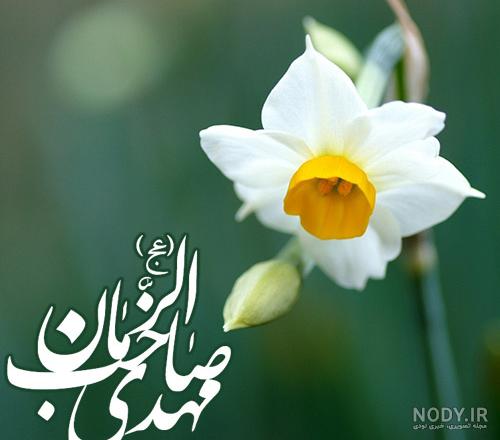 عکس پروفایل امام زمان با گل