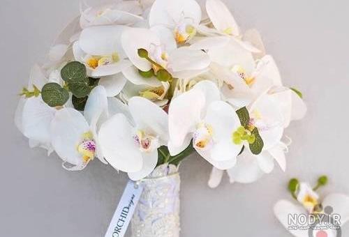 عکس گل ارکیده آبی عکس گل ارکیده آبی