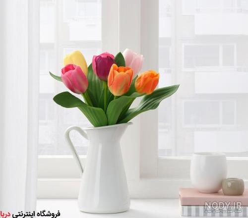 عکس گل لاله تکی عکس گل لاله تکی