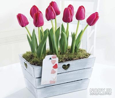 عکس گل لاله نقاشی عکس گل لاله نقاشی