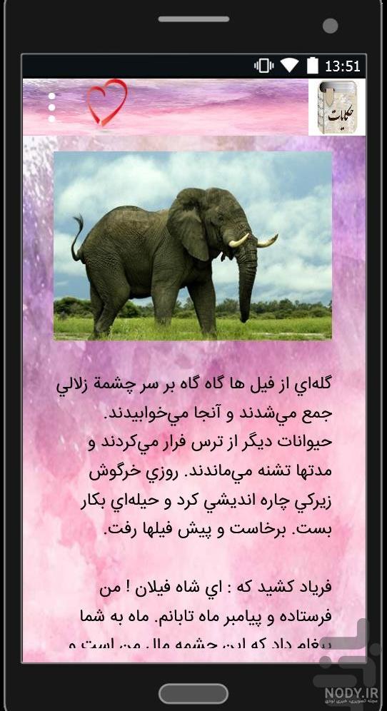 مدت حاملگی فیل مدت حاملگی فیل