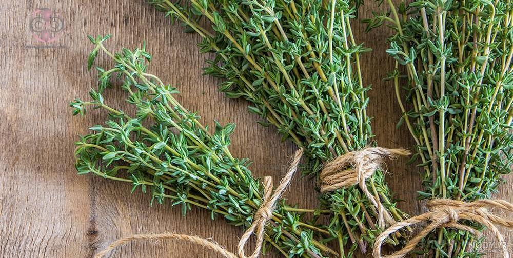 مضرات آویشن برای زنان باردار مضرات آویشن برای زنان باردار