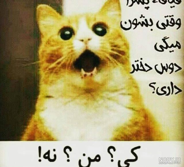 عکس خنده دار و بامزه جدید عکس خنده دار و بامزه جدید