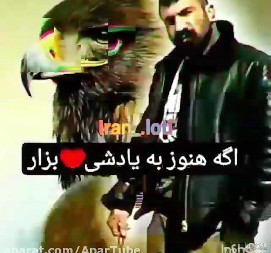 عکس عقاب ایران وحید مرادی عکس نودی