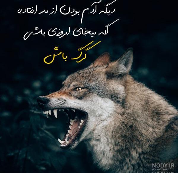 بیو گرگ