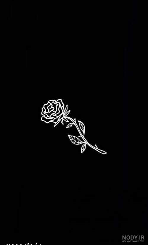 عکس اسب سیاه زیبا