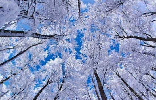 عکس زیبا زمستان برفی