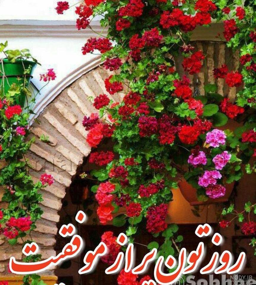 عکس زیبا عصر بخیر عکس زیبا عصر بخیر