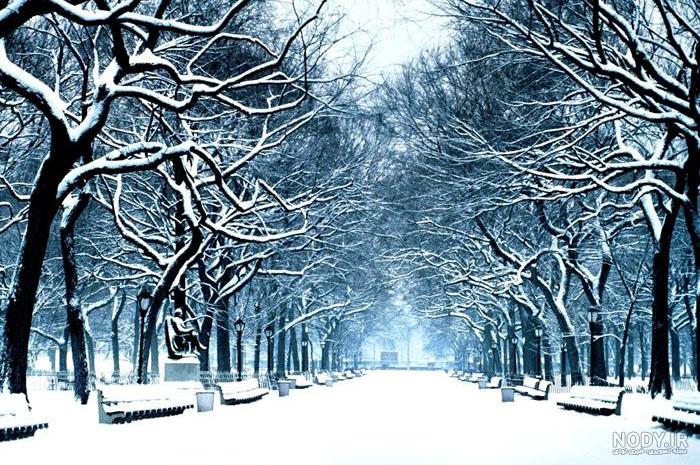 عکس زیبای زمستان