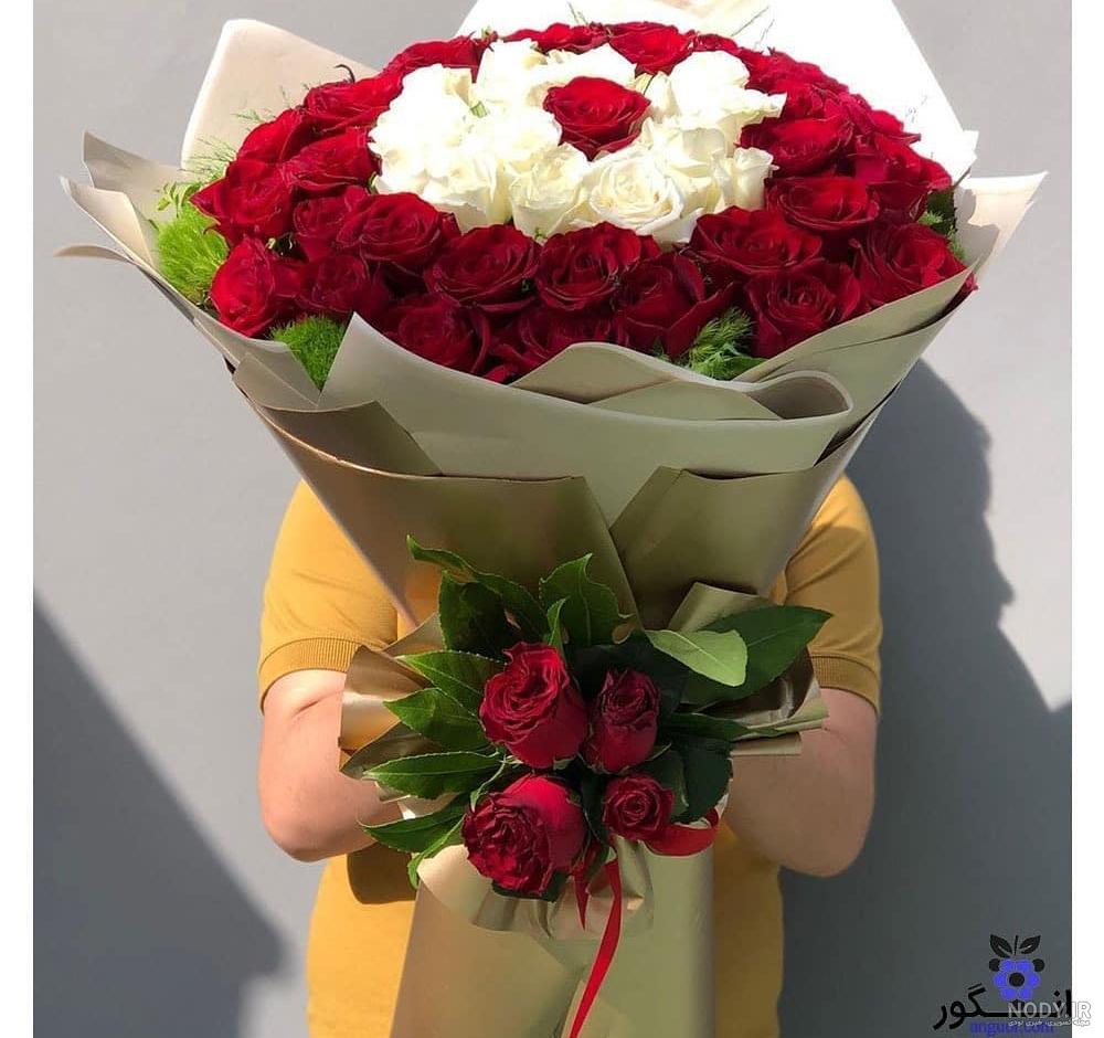 عکس شاخه گل رز قرمز