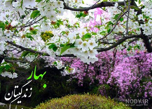 عکس عاشقانه در بهار عکس عاشقانه در بهار