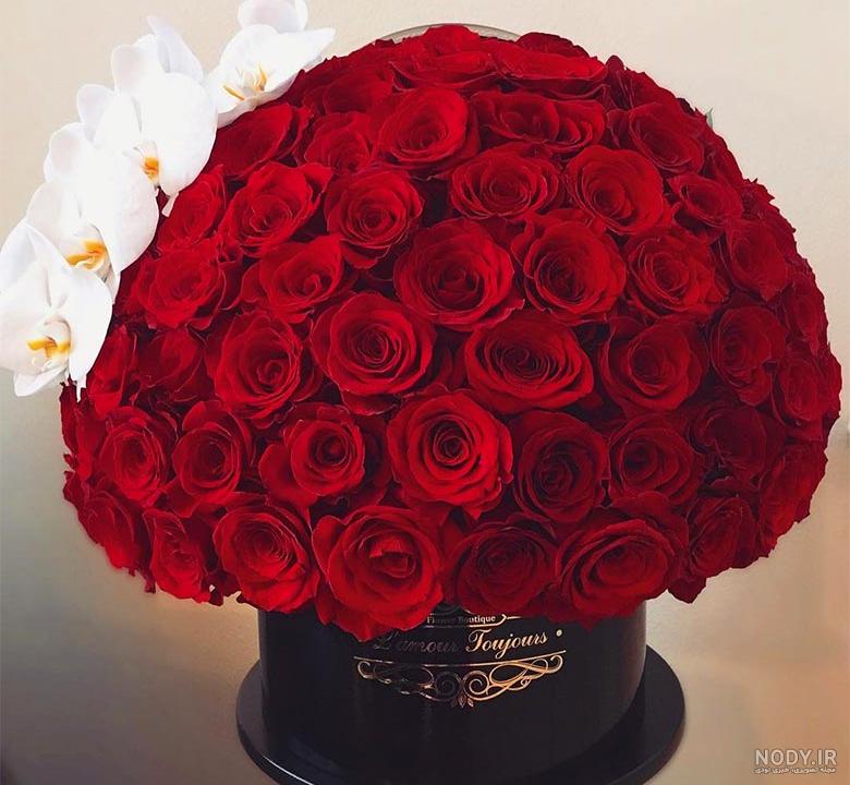 عکس متحرک گل رز ابی