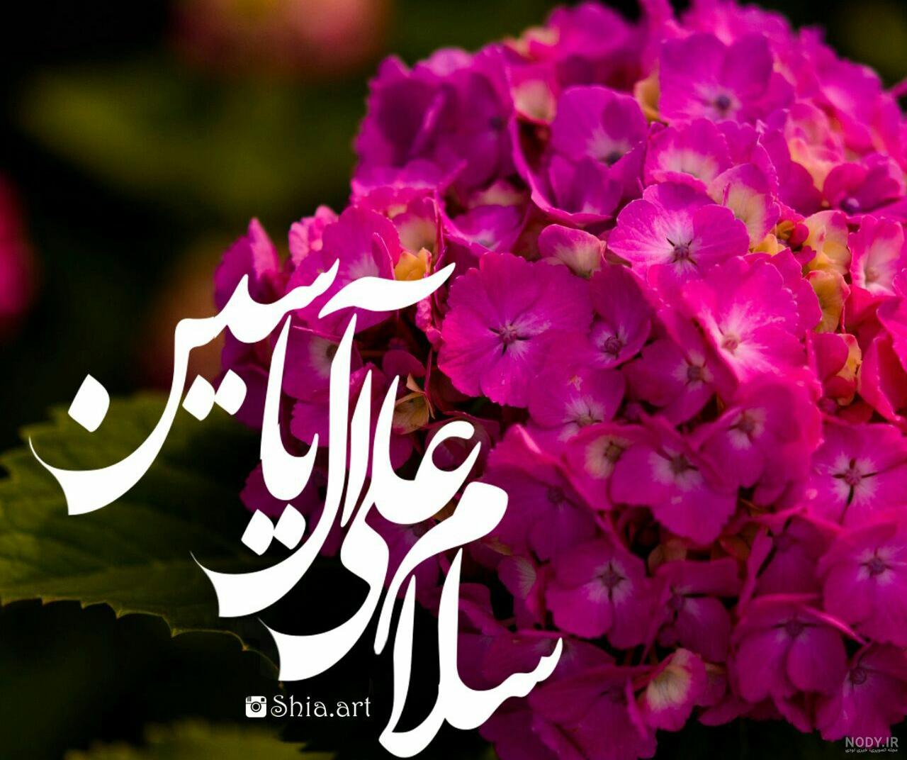 عکس متن زیارت آل یاسین عکس متن زیارت آل یاسین