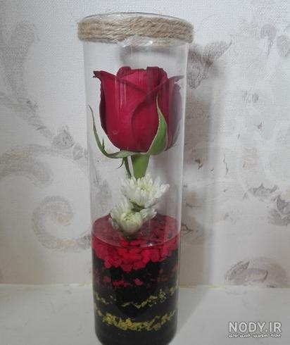 عکس گل رز در شیشه