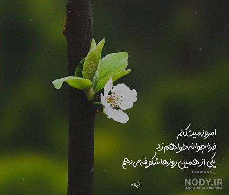 عکسهای نوشته فصل بهار عکسهای نوشته فصل بهار