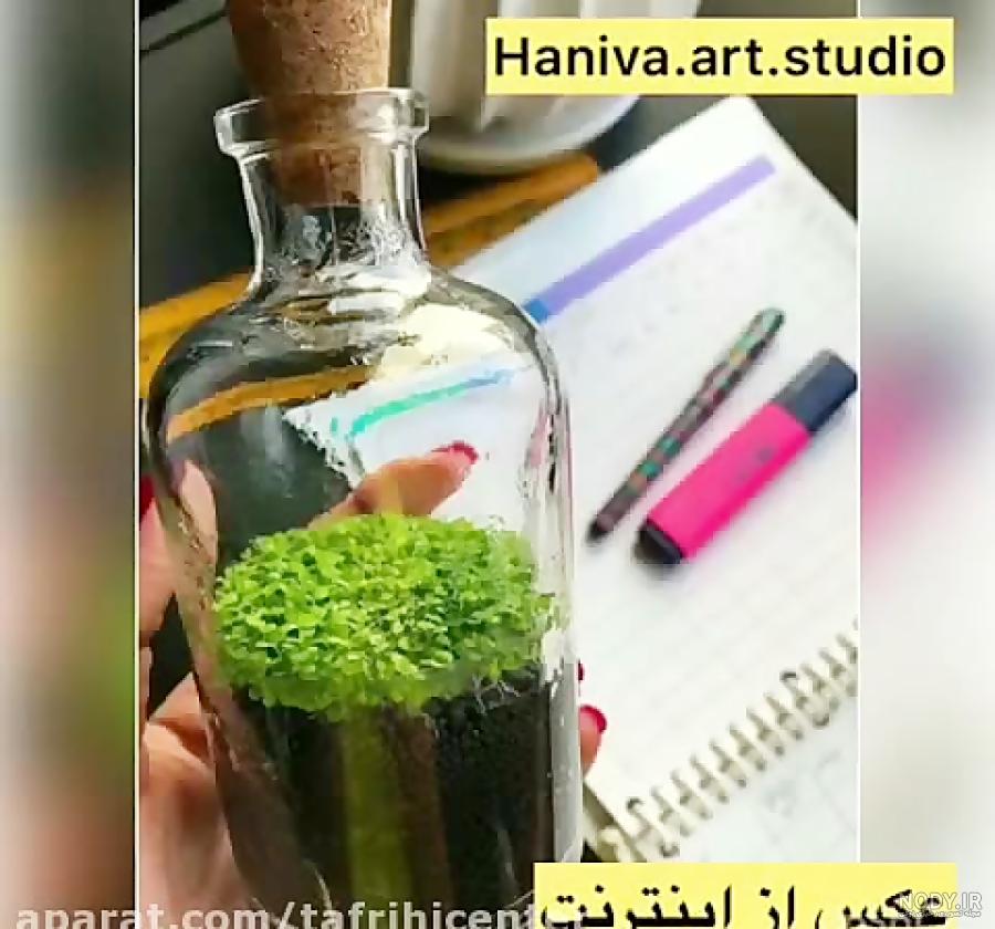فیلم آموزش سبزه ذرت