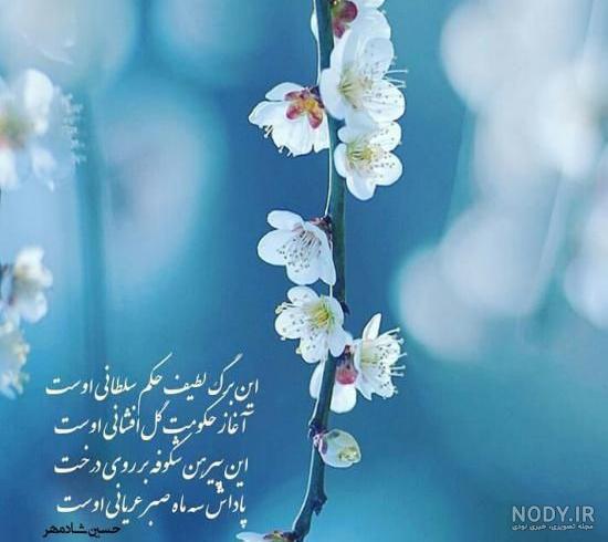 متن دلتنگی در بهار متن دلتنگی در بهار