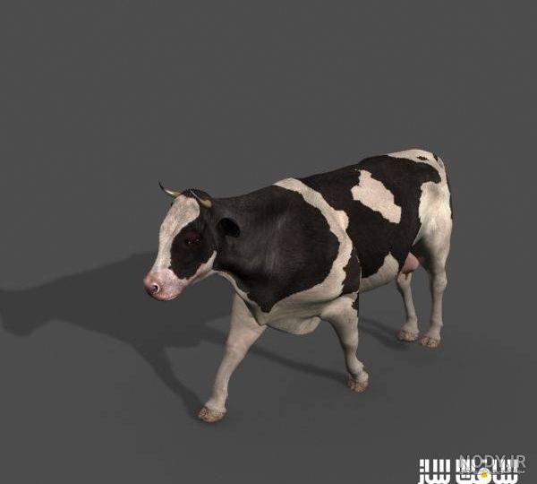 مدل سه بعدی گاو