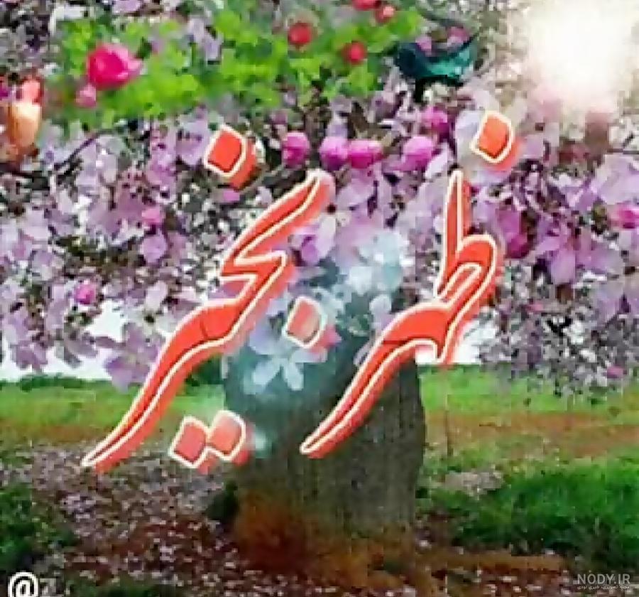 پیام ظهر بخیر ادبی پیام ظهر بخیر ادبی