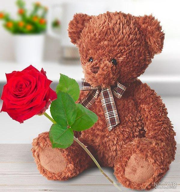 ی دسته گل زیبا ی دسته گل زیبا